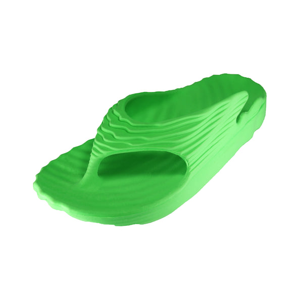 Mo Bio Recovery Slide